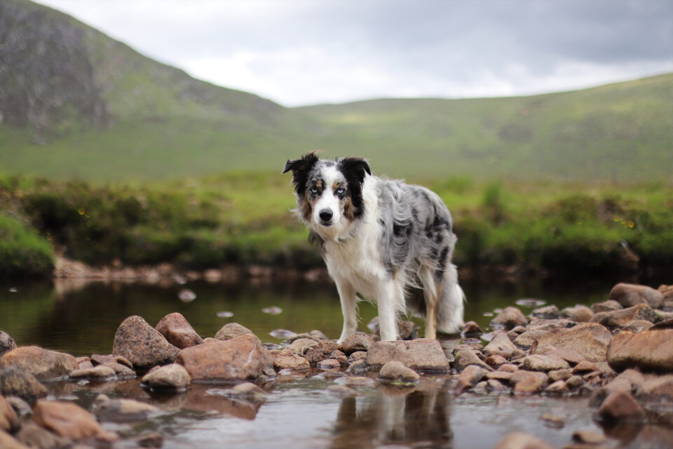 UK Scotland — Glencoe