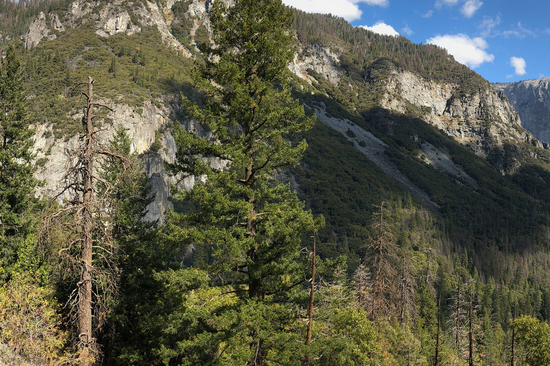 California → Yosemite