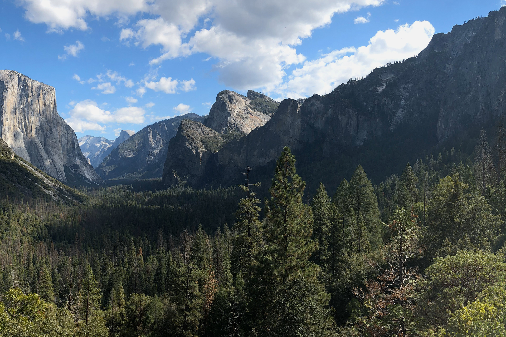 California → Yosemite